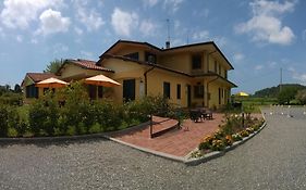 Cecco Di Nara